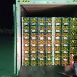 64d31a8e-95f7-49d7-802e-149ce76076c9